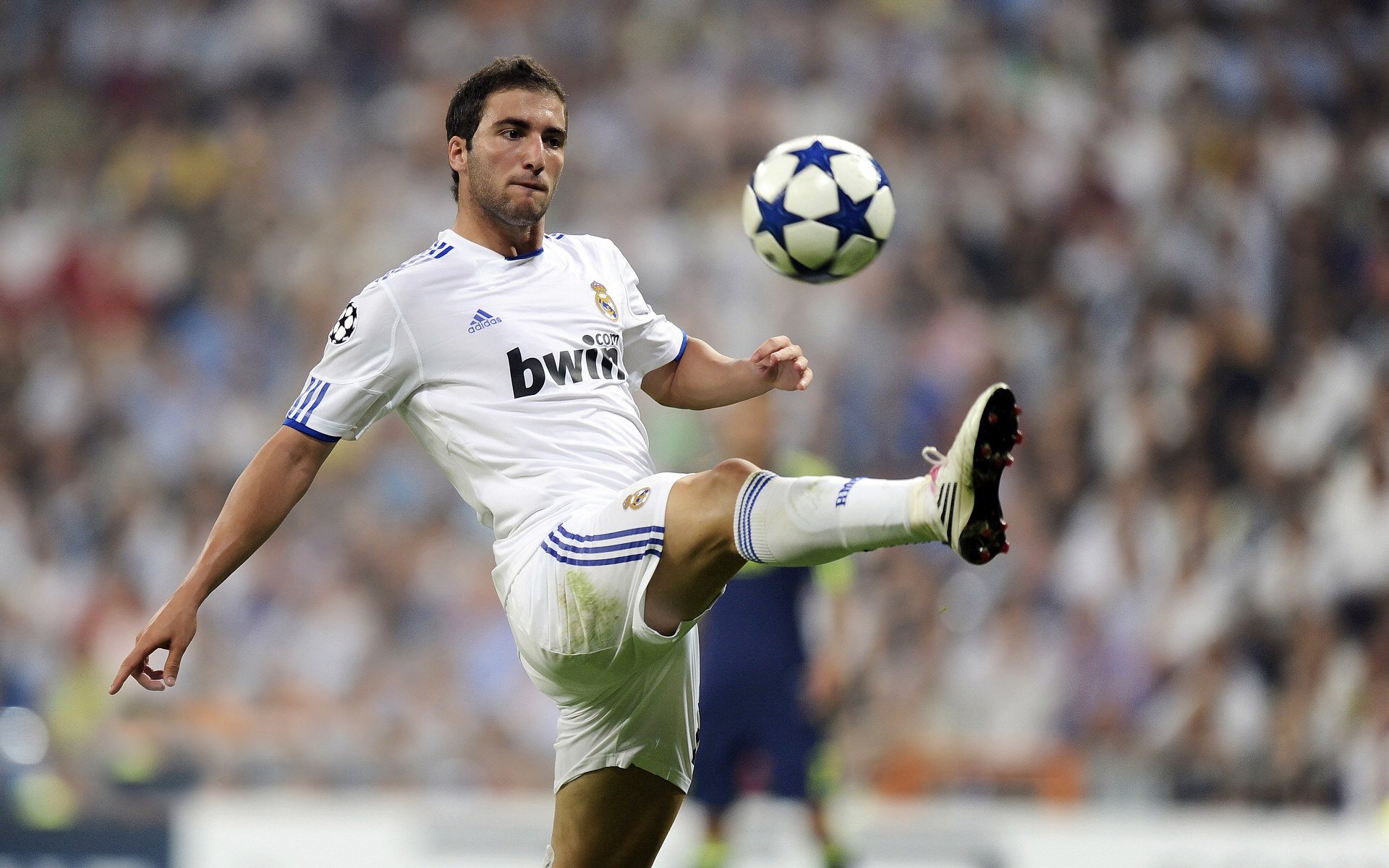 中国拳击联赛2026赛季启动 职业体系进一步完善